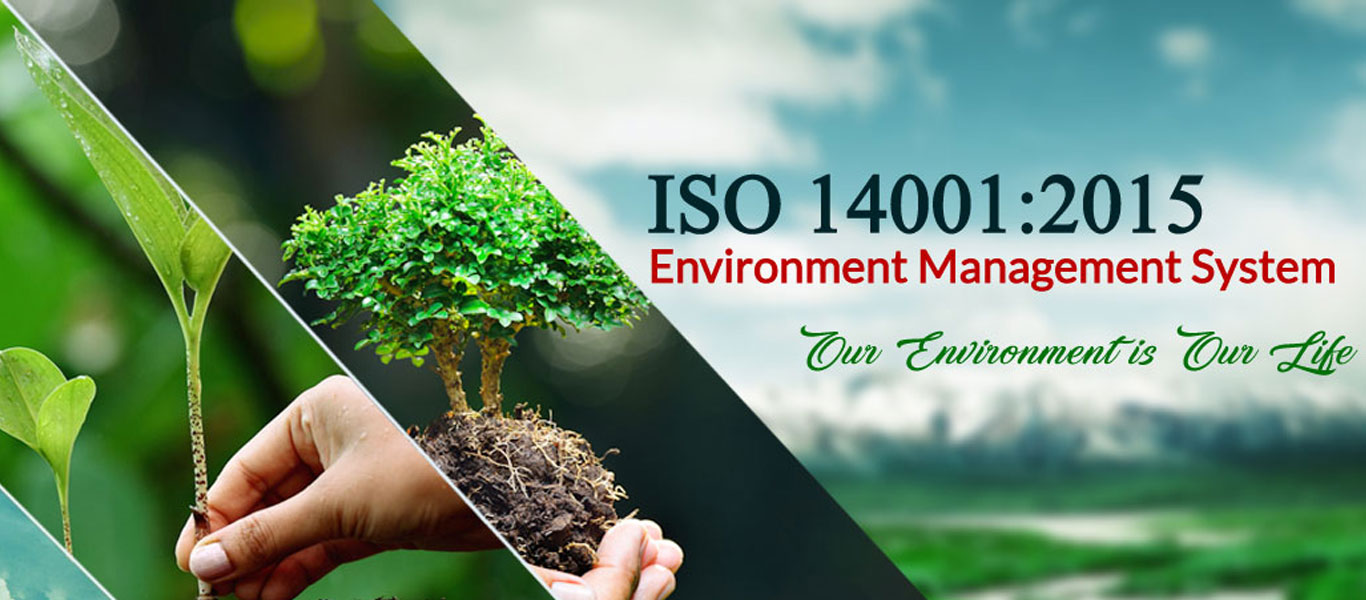 Исо 14001. Международный стандарт ISO 14001. Стандарт ISO 14001 2015. ISO 14001 картинки. Экология ИСО.